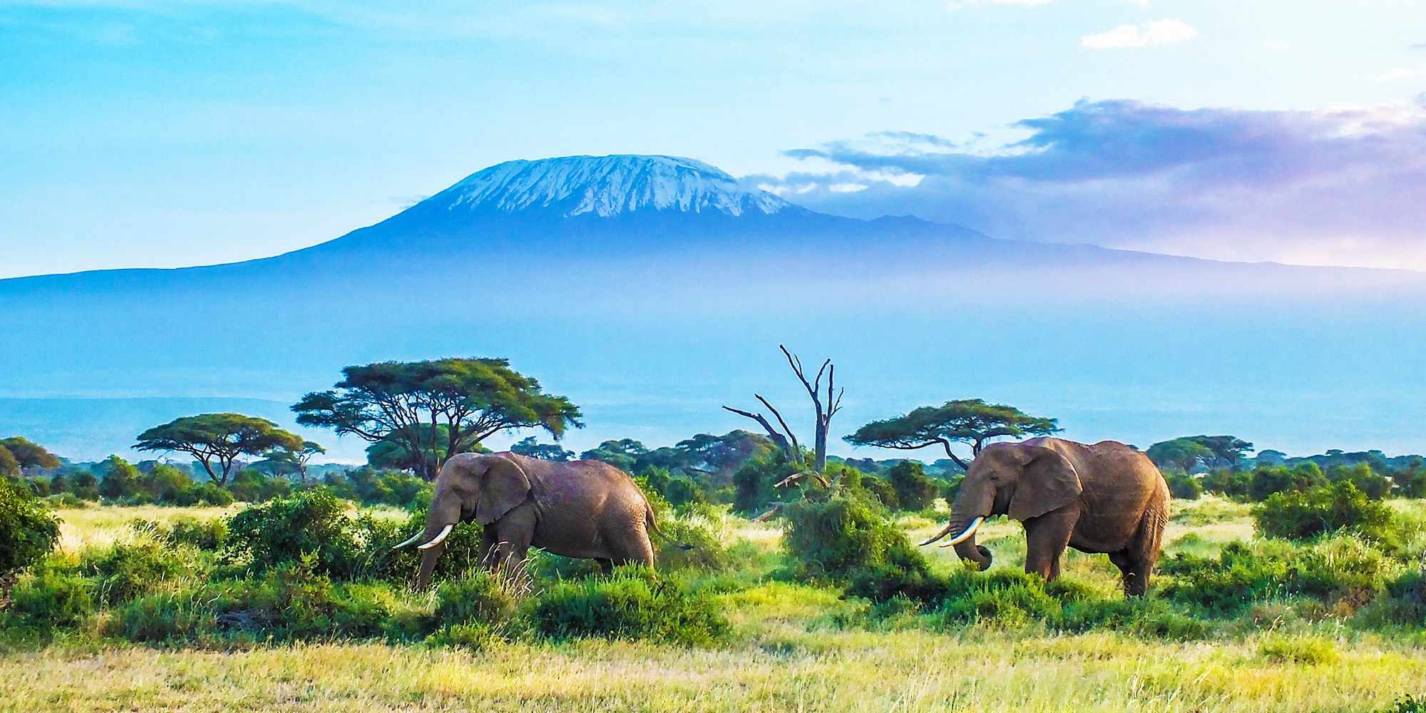 Affordable Kilimanjaro tour packages