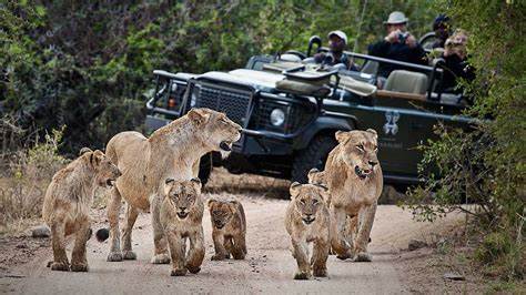 Tanzania migration safari