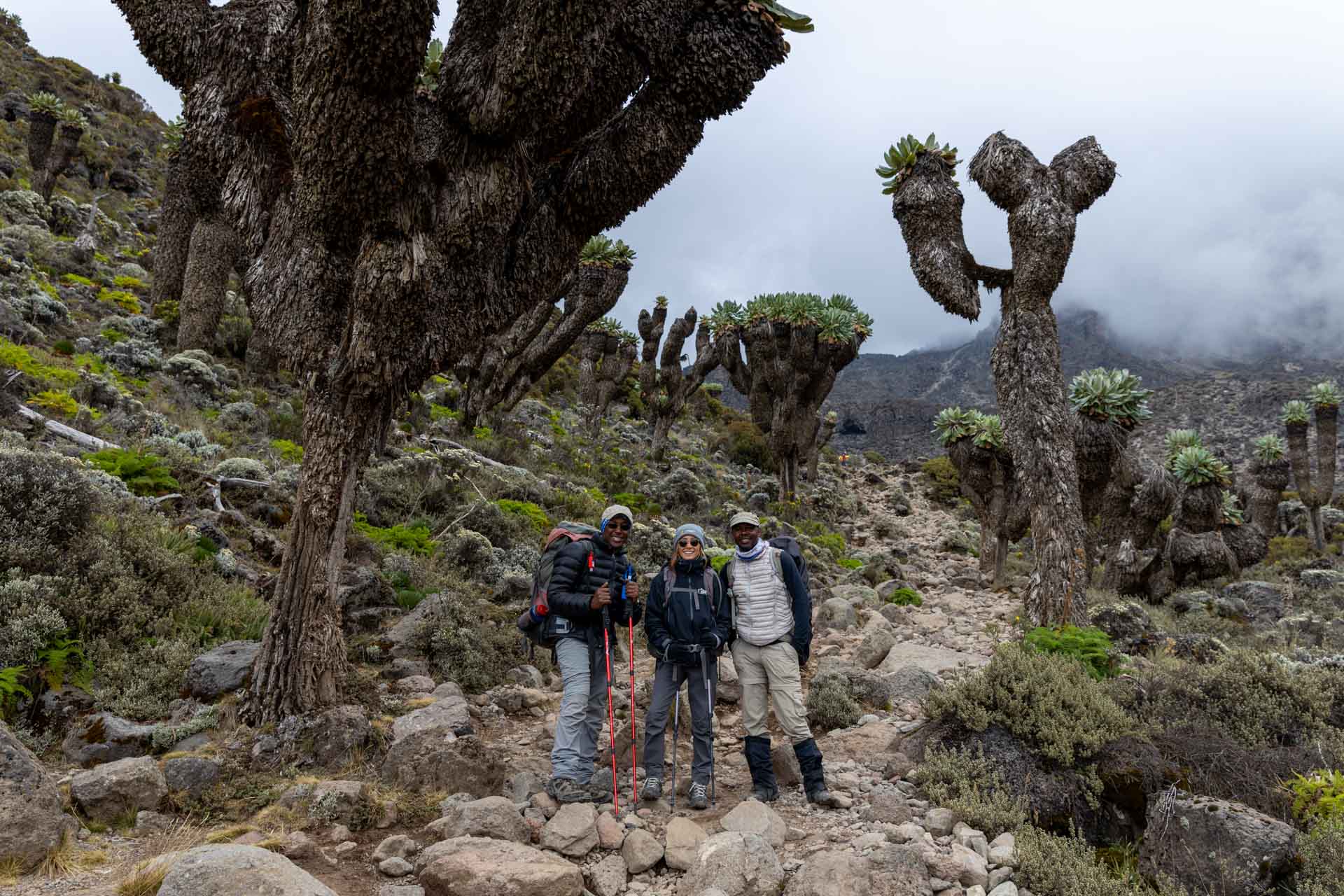 Kilimanjaro-Hike-Lemosho