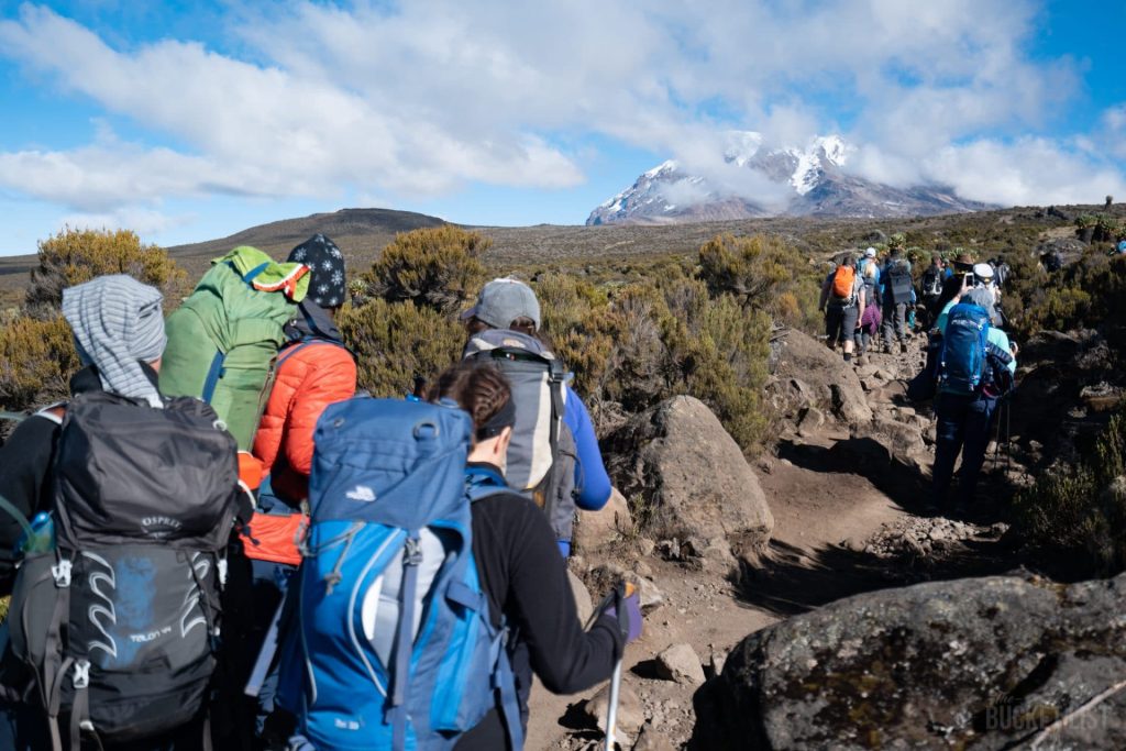 Accessibility features of Kilimanjaro