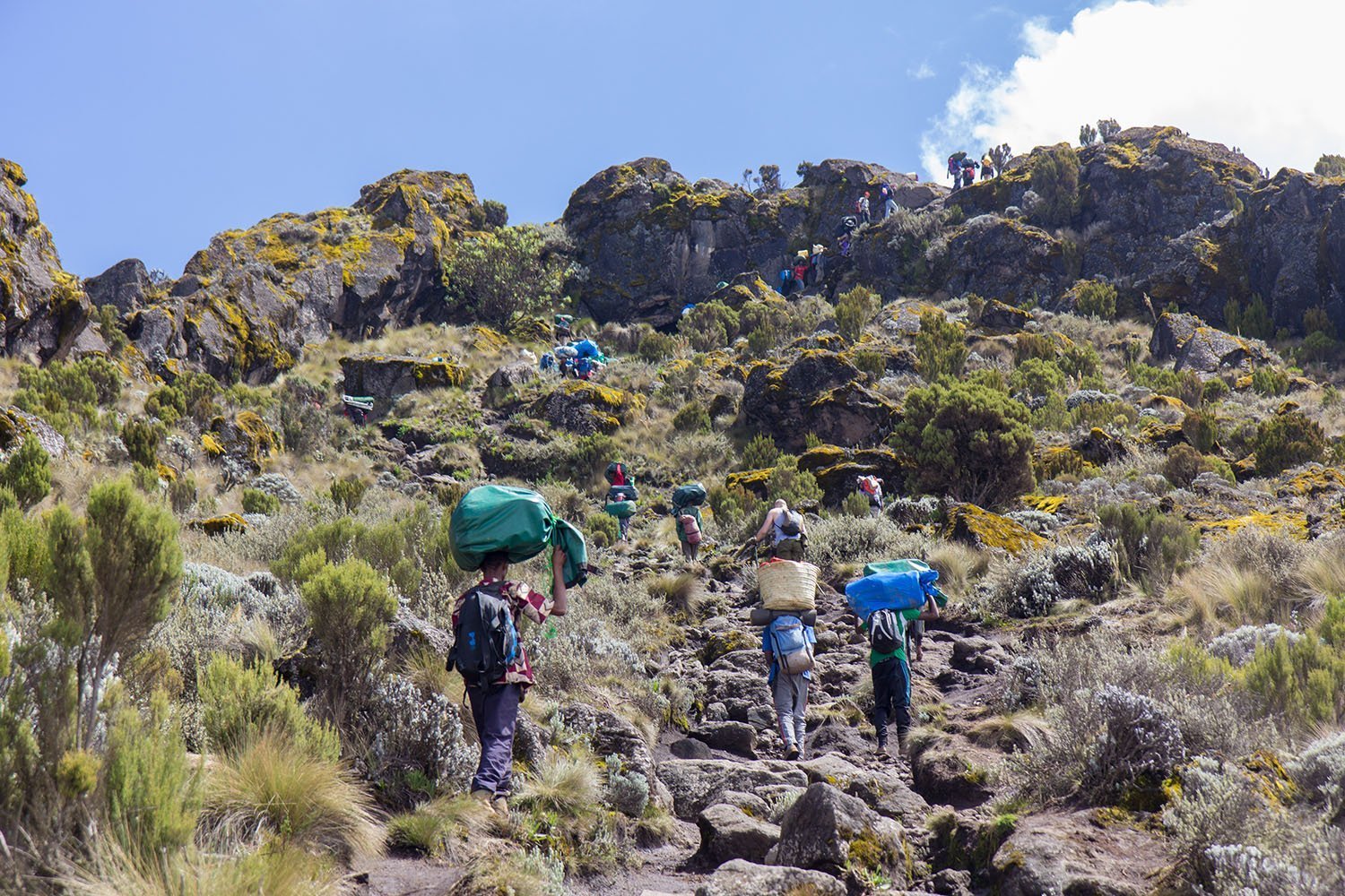 Hiking And Trekking