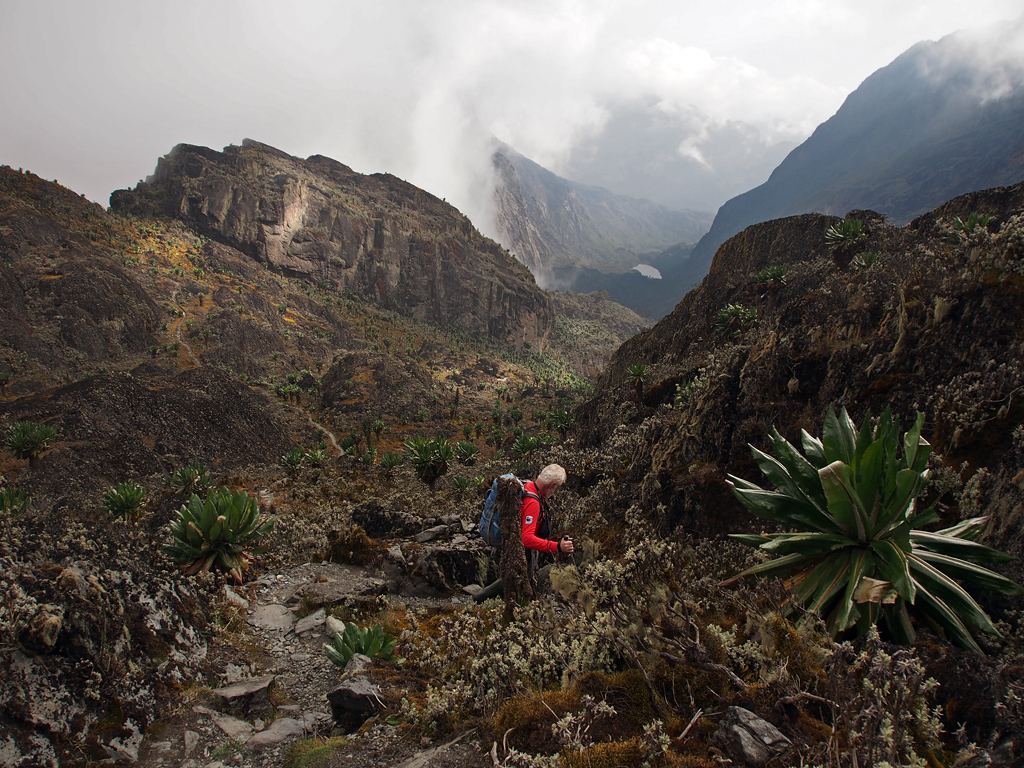 Mt-Rwenzori-Kilembe-Trail