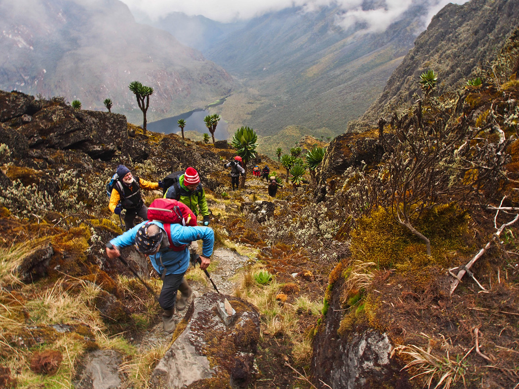 Mt-Rwenzori-Central-Circuit-Trail