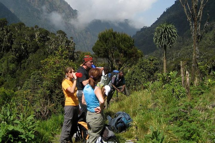 Rwenzori-Nature-Walk