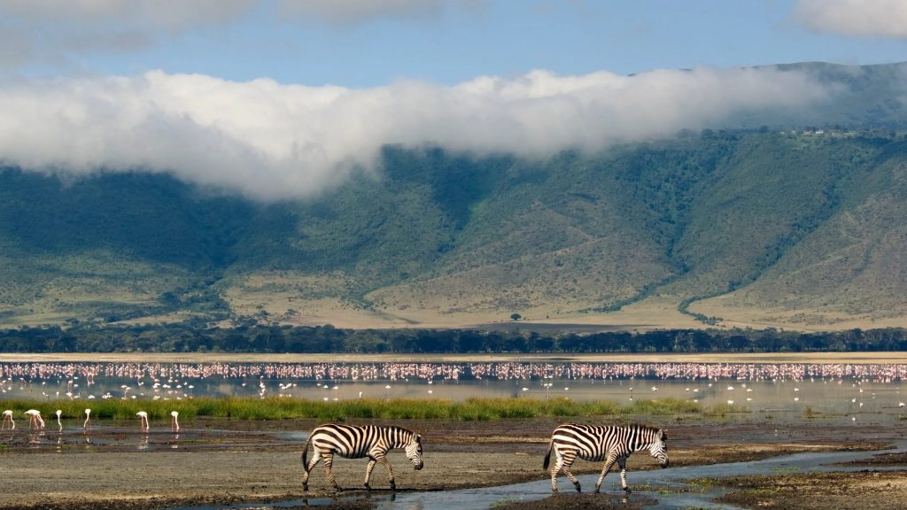 Ngorongoro Crater