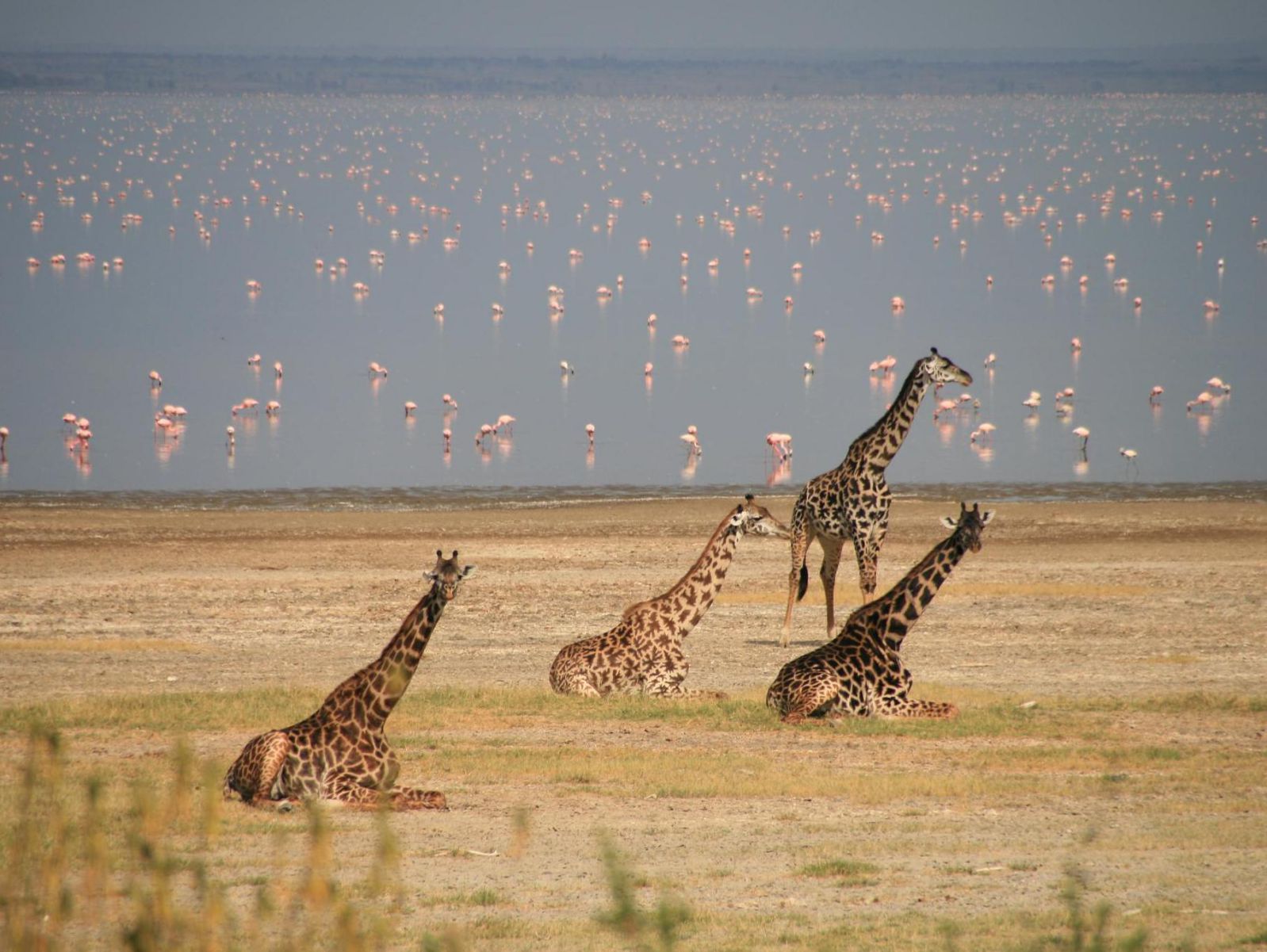 lake-manyara-Tanzania-safari