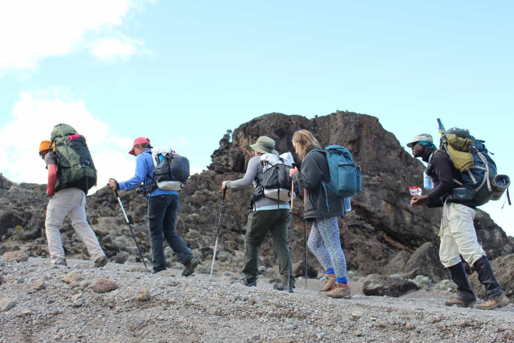 mountain Kilimanjaro trekking via Northern Circuit