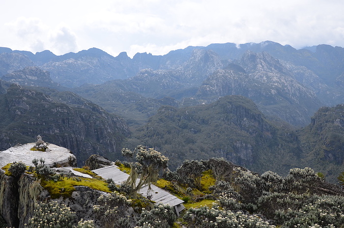 mount-Rwenzori-Mount-Luigi di Savoia