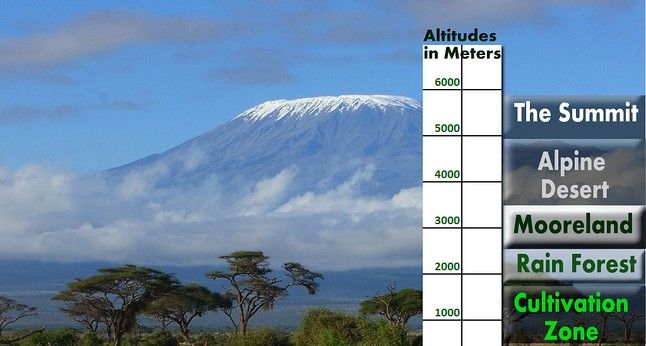 Kilimanajaro Image climate zone