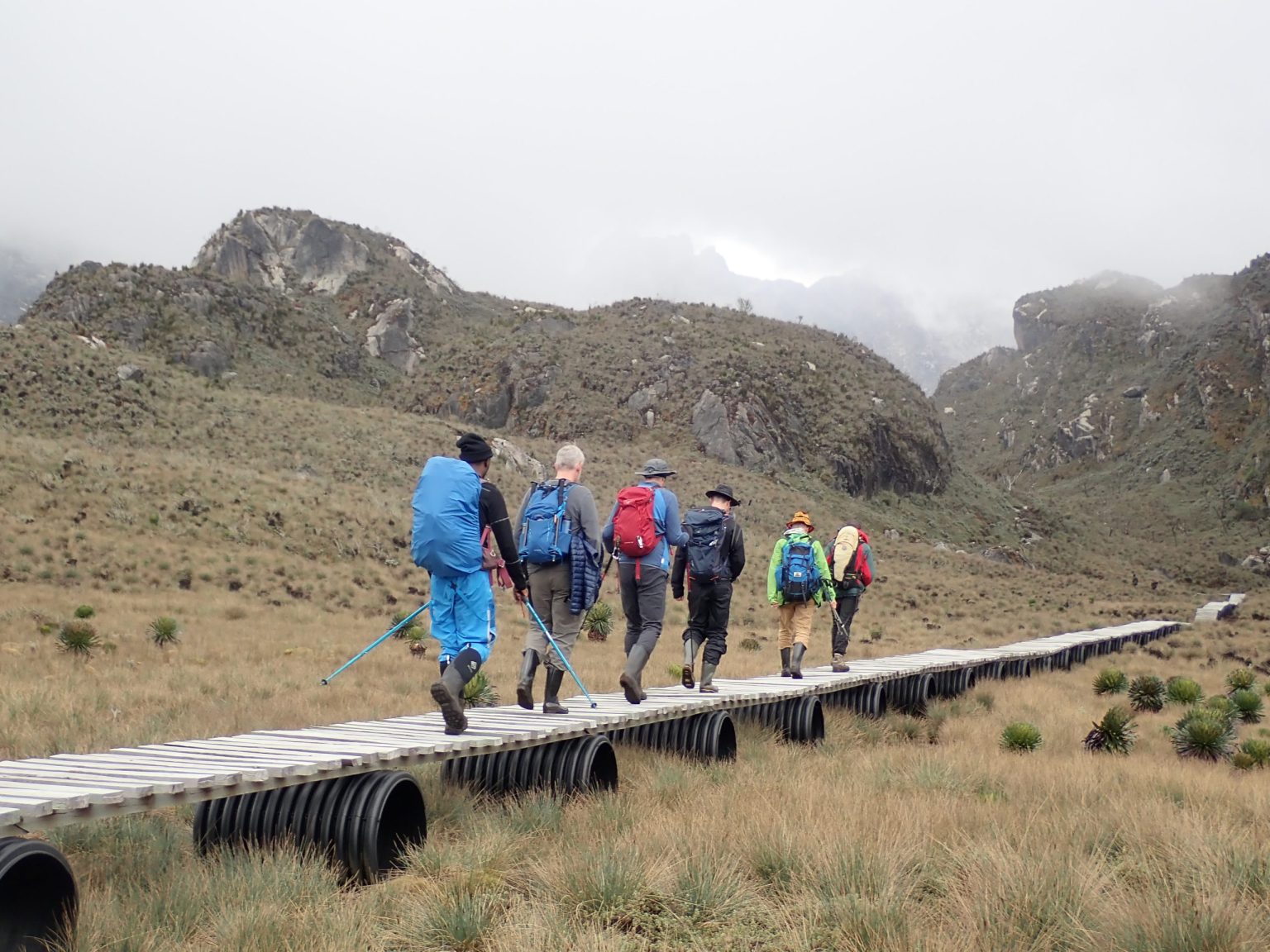 Mt-Rwenzori-Bukurungu-Trail