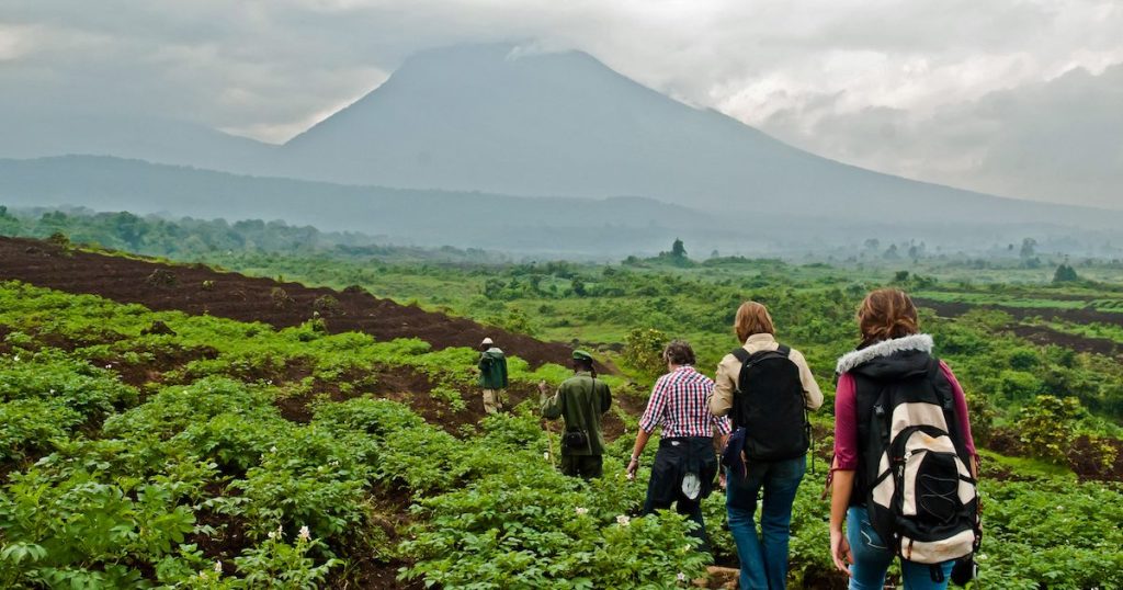 Virunga National park trekking