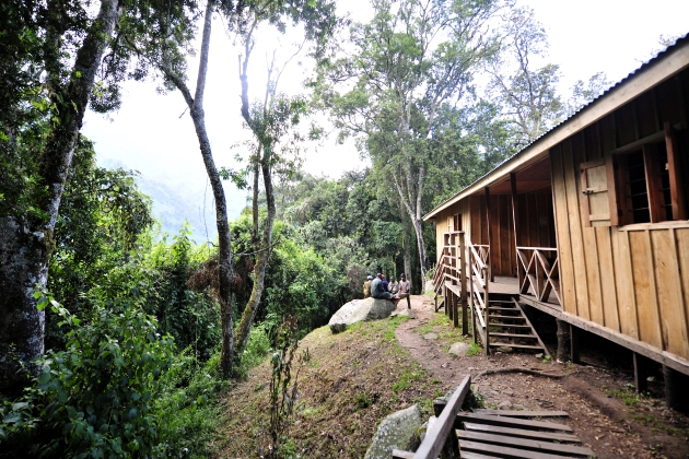 John Matte Camp of mountain Rwenzori along Bakurungu hiking trail