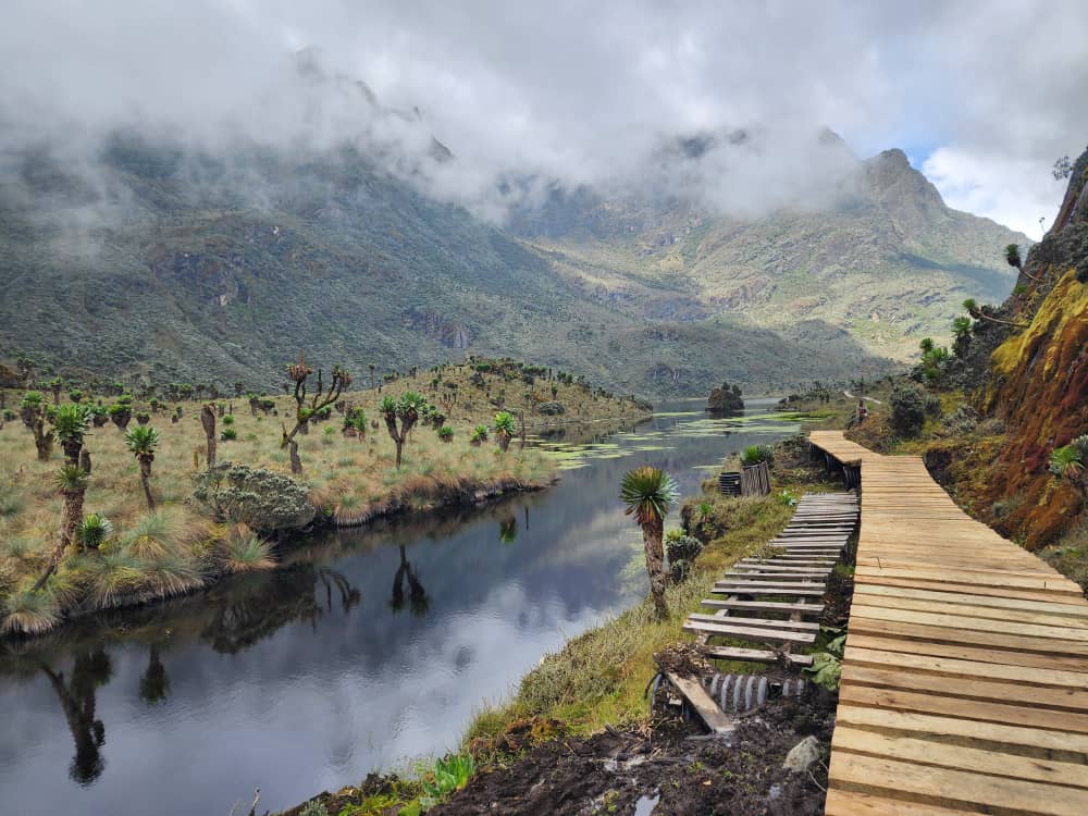 Climb Rwenzori via the Central Circuit route